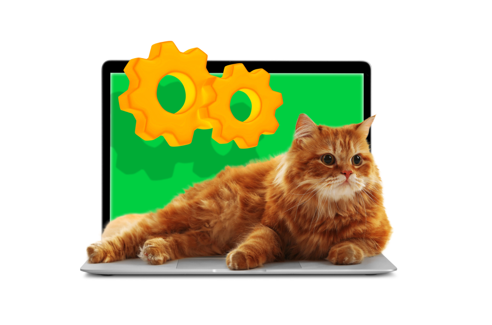 Slider image